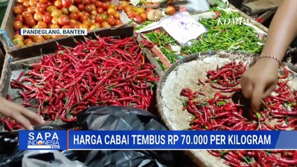 Harga Cabai Meroket, Tembus Rp70 Ribu per Kg di Pandeglang hingga Yogyakarta | SAPA PAGI