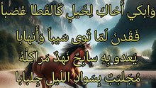 يا عين مالك لا تبكين تسكابا  ،   الخنساء