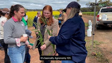 Hands-on agronomy event empowers women in agriculture