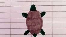 Tartaruga disegno ep 1