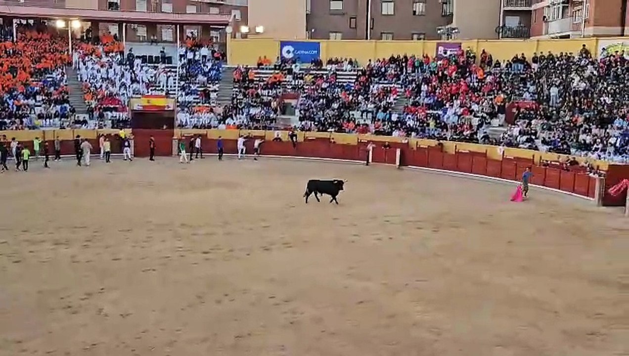 Primer encierro por el casco de Guadalajara, sin incidentes