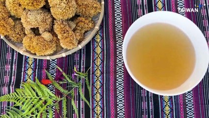 Indigenous Tsou Community Uses Modern Climbing Skills To Harvest Aiyu