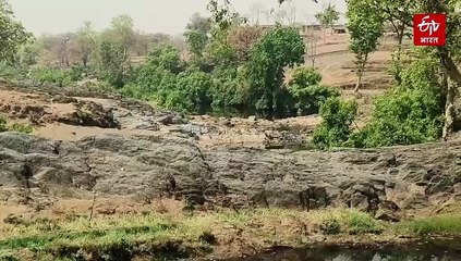 मध्य प्रदेश की धरती उगलेगी सोना, 1.33 लाख टन गोल्ड का भंडार मिला, सिंगरौली बनेगा हब