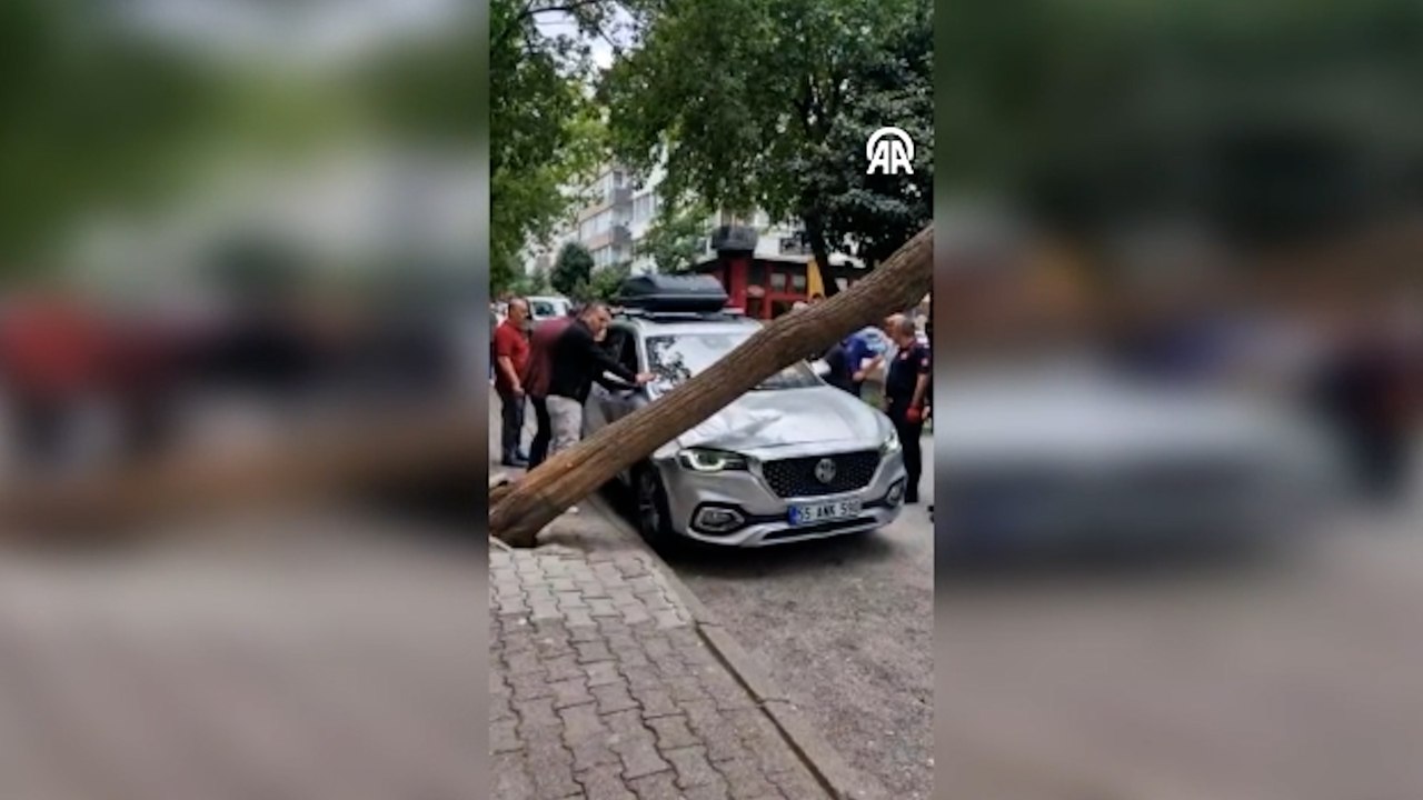 Kökünden kopan ağaç otomobilin üzerine devrildi