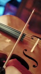 Bandit Girl’S Love And Revenge