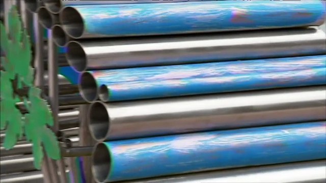 Johnny Hallyday 2018 – Inauguration du Monument en Hommage à l’Idole des Jeunes