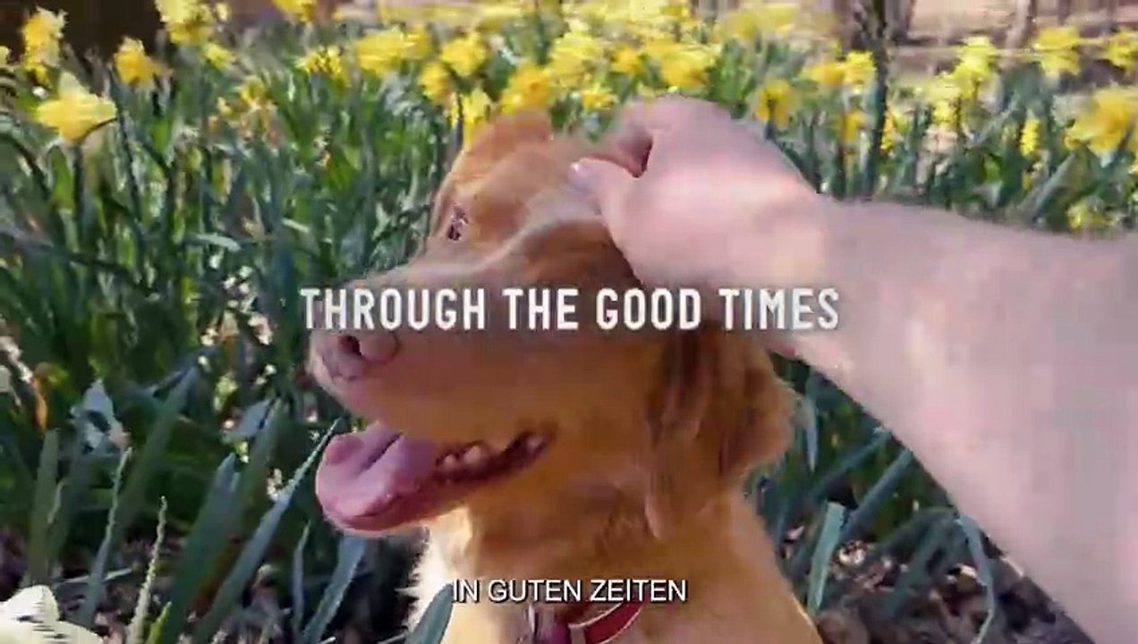 GOOD BOY Film