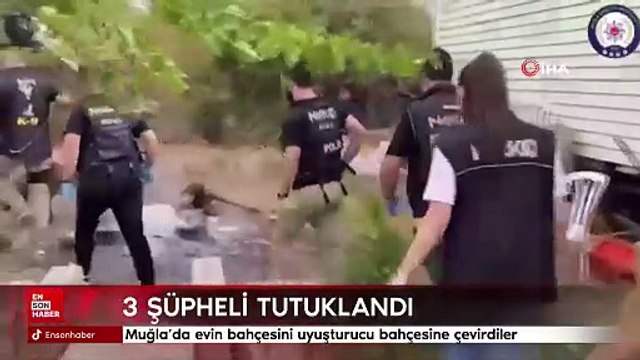 Muğla’da evin bahçesini uyuşturucu bahçesine çevirdiler