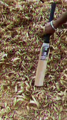 🎯 Heega V-Shaped Mongoose Kashmir Willow Cricket Bat | Perfect Choice for Every Cricketer #CricketBat