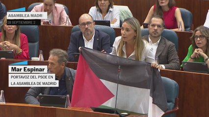 El PSOE saca una bandera palestina en la Asamblea y Ayuso pregunta cuándo pondrán la española