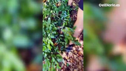 Sortu pancartas Valle de los Caídos