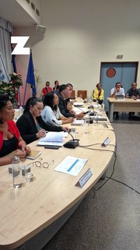 Il n'y a pas de volonté politique d'aller repeindre le sable de l'Étang-Salé