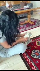 Jealous dog.😂It just wants to be number1.🤣🤣#น้อลขี้อิจฉา🤣🤣#น่าเอ็นดู้😂😂 ❤️🥰#share happin