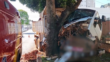 Caminhão carregado com terra colide contra árvore na Rua Presidente Kennedy