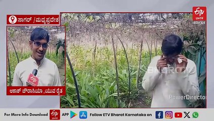 ಬೆಳೆಗಳಿಗೆ ಸಂಗೀತ ಆಲಾಪನೆ; ವಿನೂತನ ಪ್ರಯೋಗದ ಮೂಲಕ ಇಳುವರಿ ಹೆಚ್ಚಿಸಿಕೊಂಡ ಯುವ ರೈತ, ಕೃಷಿ ವಿಜ್ಞಾನಿ ಹೇಳುವುದು ಹೀಗೆ!