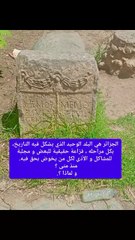 التاريخ و الآثار في الجزائر