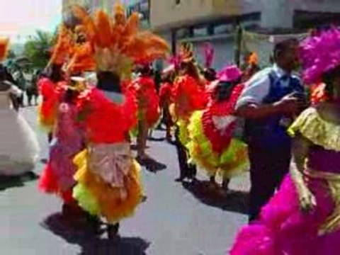 Reine-Muguet-2008-Rambouillet Défilé Chars Fleuris