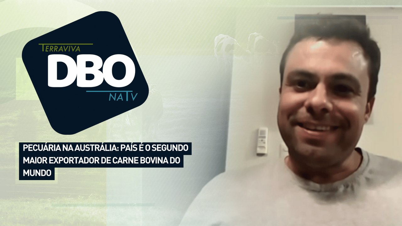 Pecuária na Austrália: país é o segundo maior exportador de carne bovina do mundo