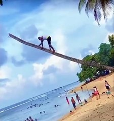 De la risa al susto: hombre cae desde lo alto de una palmera en Costa Rica