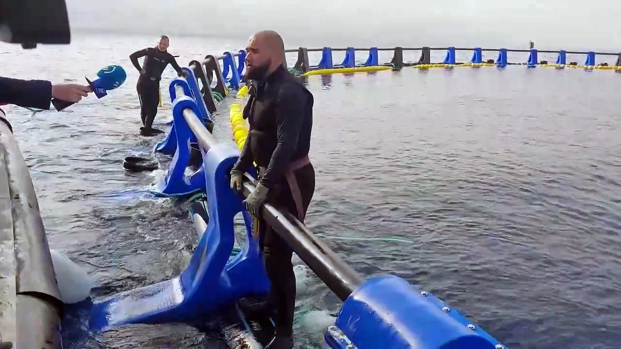 Engorde de atunes en Getaria