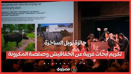 جائزة نوبل الساخرة.. تكريم أبحاث غريبة عن الخفافيش وصلصة المكرونة