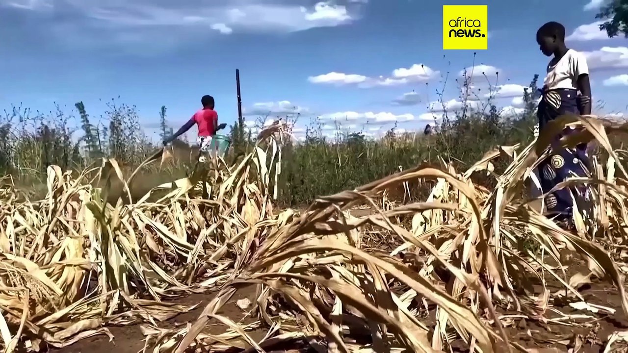 Changement climatique : les ressources en eau sous pression, selon l’OMM
