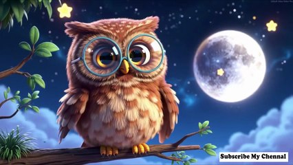 Ollie Owl Looks at Moon   Calm Nighttime Owl Lullaby for Kids   Bedtime Rhyme   Nursery Rhymes