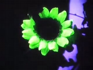 Alsos*  lumière source de création sonore