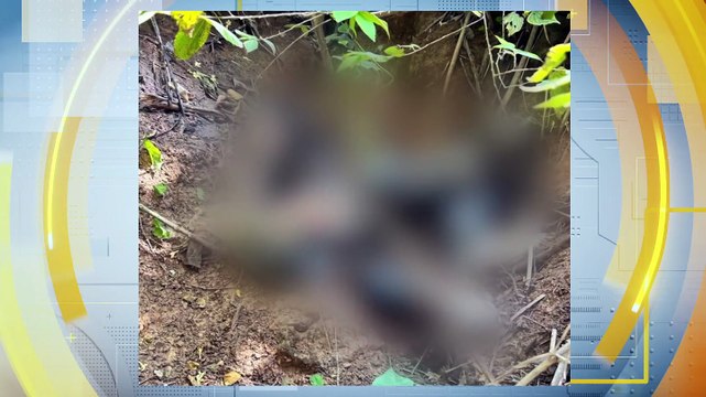 Descoberta de Corpo em Decomposição em Fábrica de Cimentos em Paulista: Possível Repercussão de Roubo de Fios de Cobre