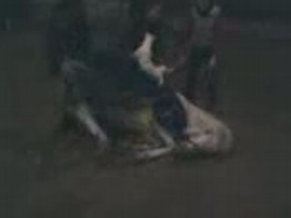 VID000