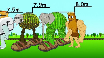 PICCIONE MACCHINA ORIGIN BACKSTORY! ITALIAN BRAINROT Story of Transformation Cartoon Animation - YouTube