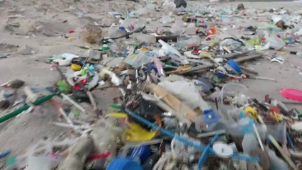 Descaso Ambiental em Olinda: A Crisis de Lixo na Praia de Del Chifre e a Iniciativa Voluntária para a Limpeza