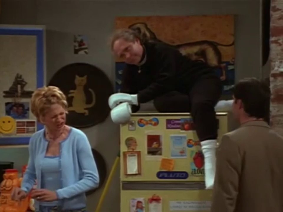 Dharma & Greg Staffel 1 Folge 20 'Katergefühle' #Deutschland #HD