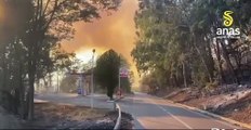 Incendio tra Santa Domenica Talao e Scalea, riaperta la Statale 504