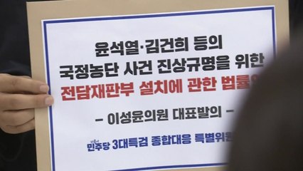 민주, 내란·국정농단 전담재판부 설치법 발의 / YTN