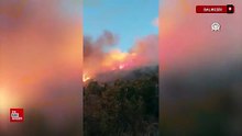 Balıkesir'de çıkan orman yangınına müdahale ediliyor