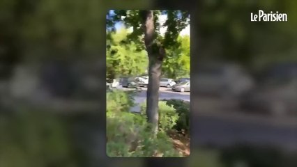 Un homme armé d’une hachette abattu par la police près d’une école dans le Var