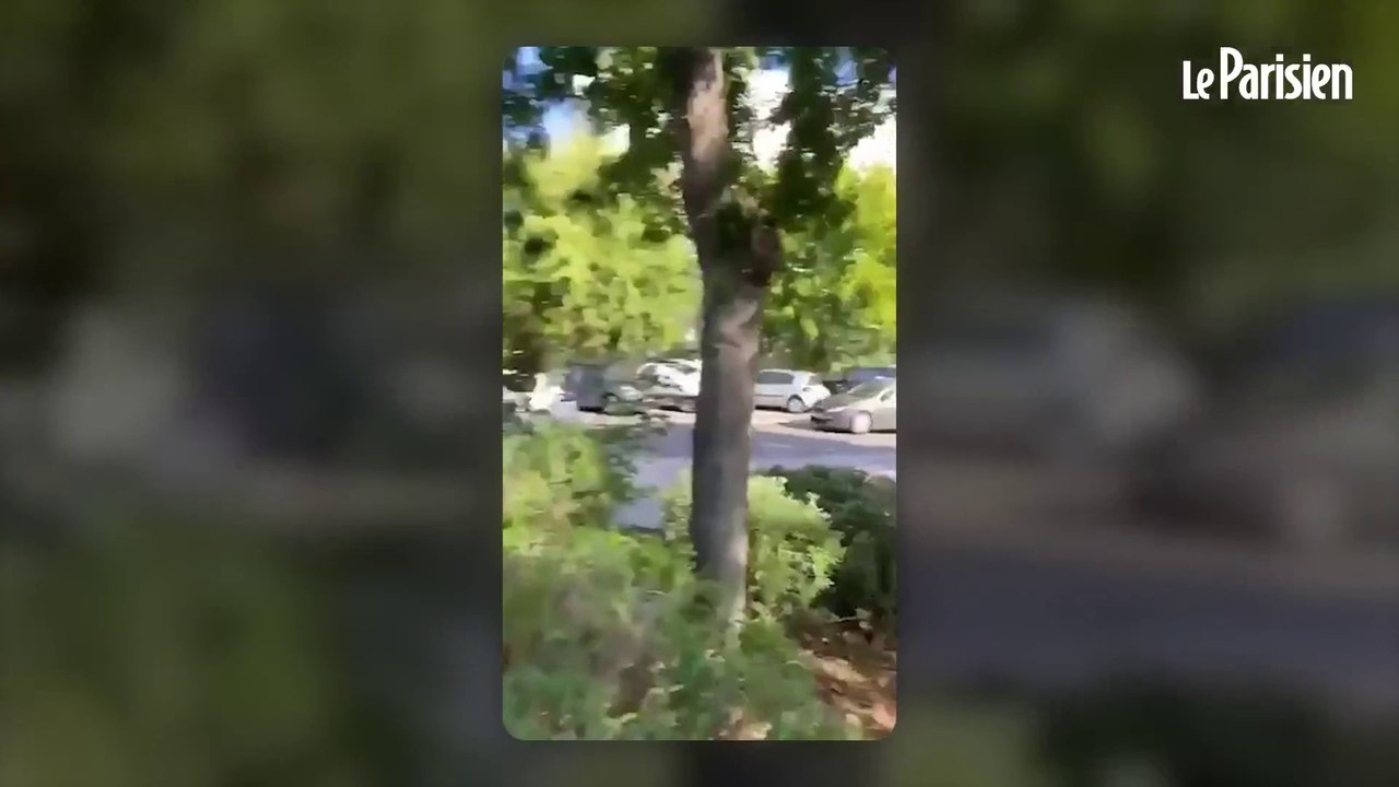 Un homme armé d’une hachette abattu par la police près d’une école dans le Var