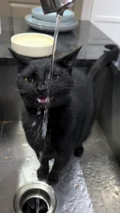 **« Système d’hydratation hyper‑rapide »**  — un clin d’œil à la vitesse de la boisson la plus efficace (et un peu plus drôle qu’un simple « Speedy » !).