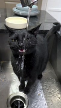 **« Système d’hydratation hyper‑rapide »** — un clin d’œil à la vitesse de la boisson la plus efficace (et un peu plus drôle qu’un simple « Speedy » !).