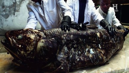 Grandi misteri della storia - Il mostro di Loch Ness