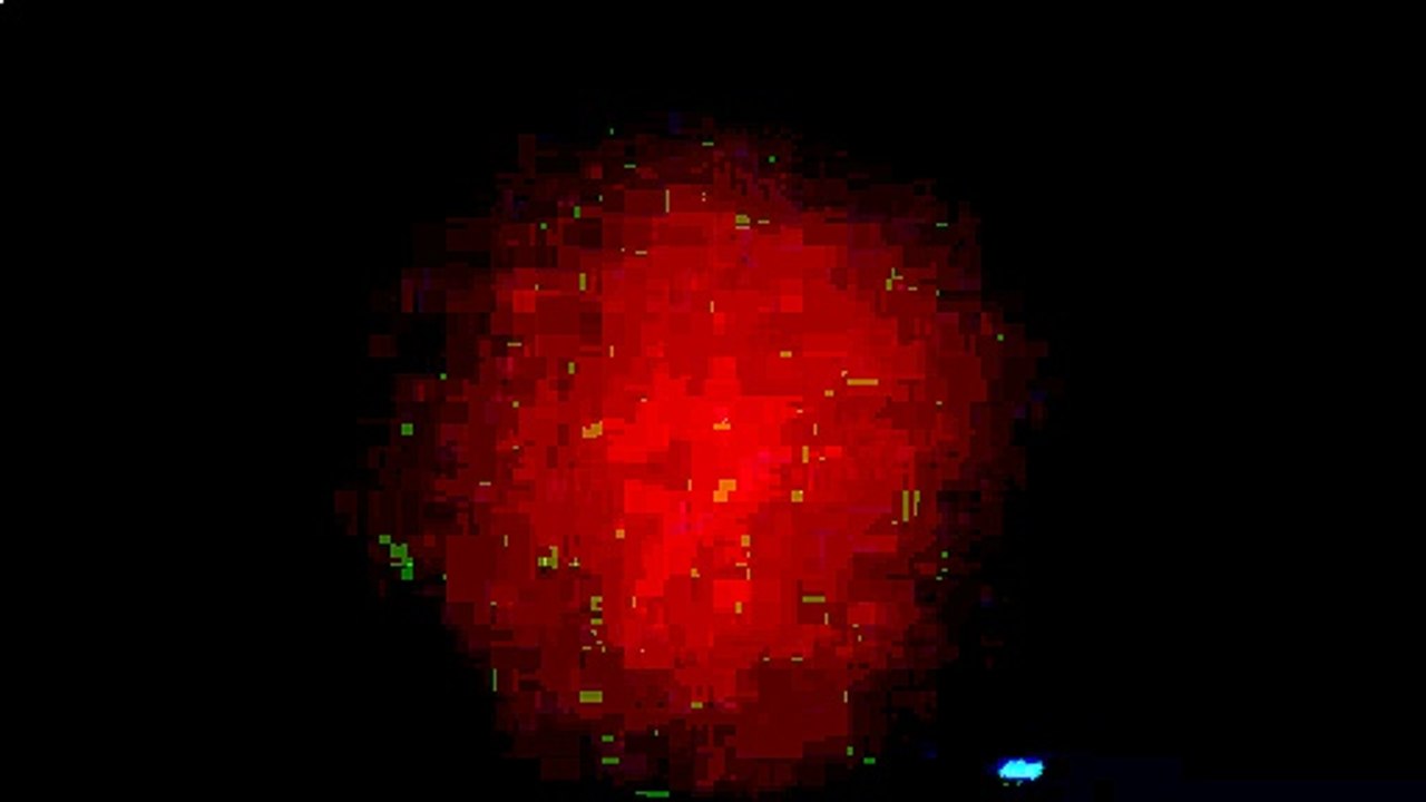 FBI Warning Screen/Sony Wonder/Random House Home Video