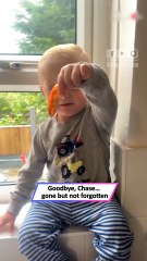 Boy’s Heartbreaking (and Funny) Reaction to Losing His Pet Fish 🐟💔😂|| Heartsome 💖