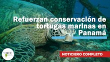 Refuerzan conservación de tortugas marinas en Panamá | 796 | 22 al 28 de septiembre 2025
