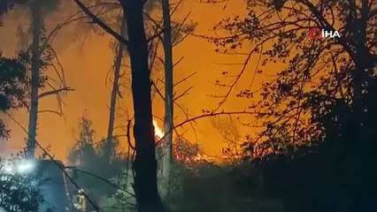 Antalya’da ormanlık alanda yangın