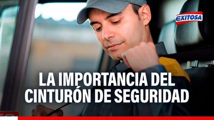 Importancia del uso del cinturón de seguridad: Todos los ocupantes del vehículo deben usarlo