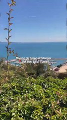 Explore the Stunning Maison du Baron d’Erlanger in Sidi Bou Saïd 🇹🇳