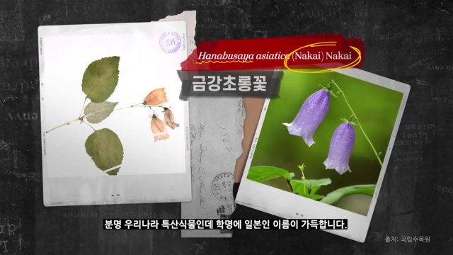 이수지-서경덕, 광복 80주년 '식물 주권' 알리는 영상 공개 / YTN