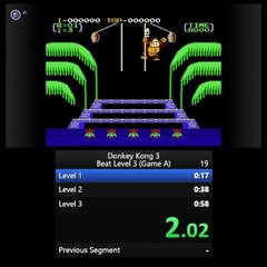 Donkey Kong 3 Speedrun in 47:99