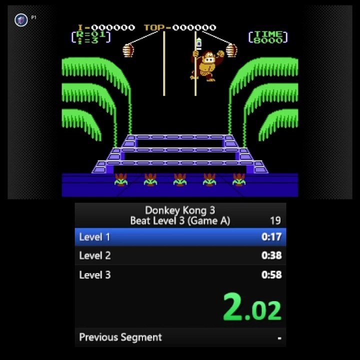 Donkey Kong 3 Speedrun in 47:99